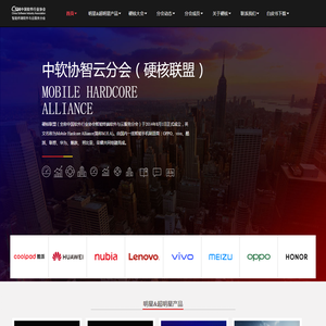 网站截图