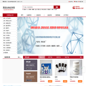 网站截图