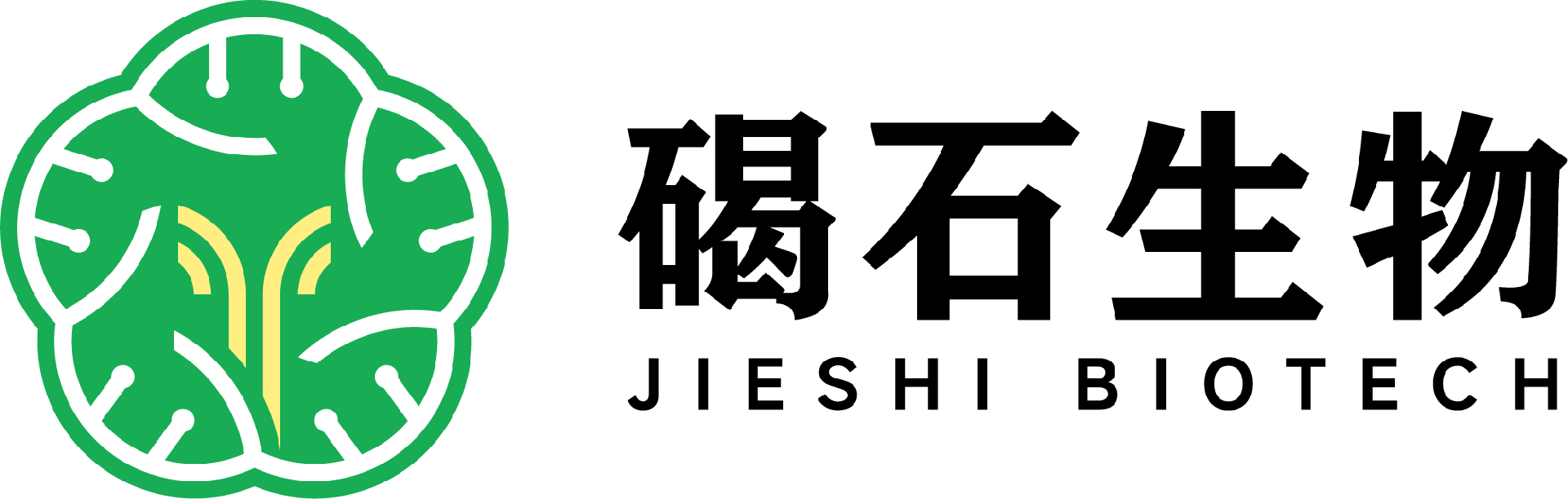 蛋白纯化