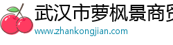 武汉市萝枫景商贸有限公司