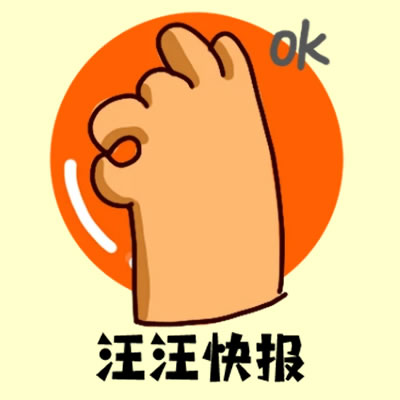 汪汪快报