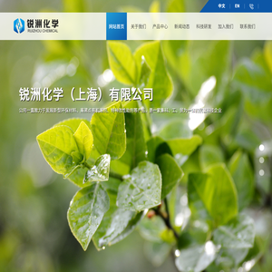 锐洲化学（上海）有限公司