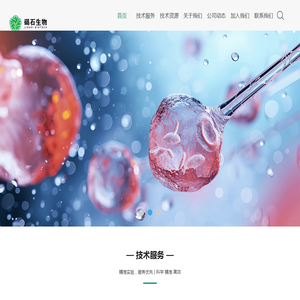 蛋白纯化