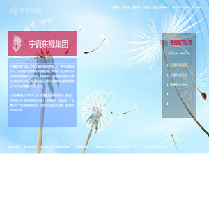 东耀集团