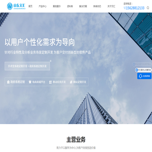 软件公司