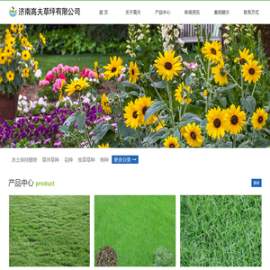 草坪