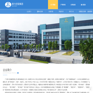 广东德力控股集团