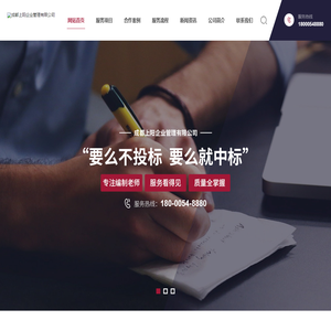 成都标书代写公司