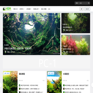 水草网