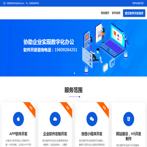 软件定制开发