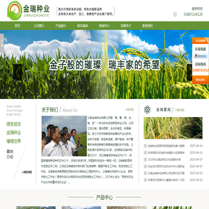 金瑞种业